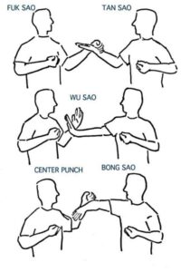 Técnicas do Wing Chun Kung Fu