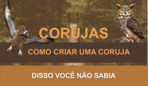 uma coruja voando e uma coruja empoleirada