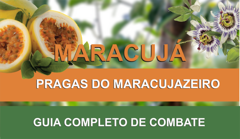 MARACUJÁ E FLOR DE MARACUJÁ