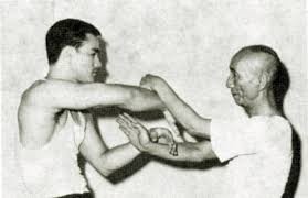 Wing Chun Treino