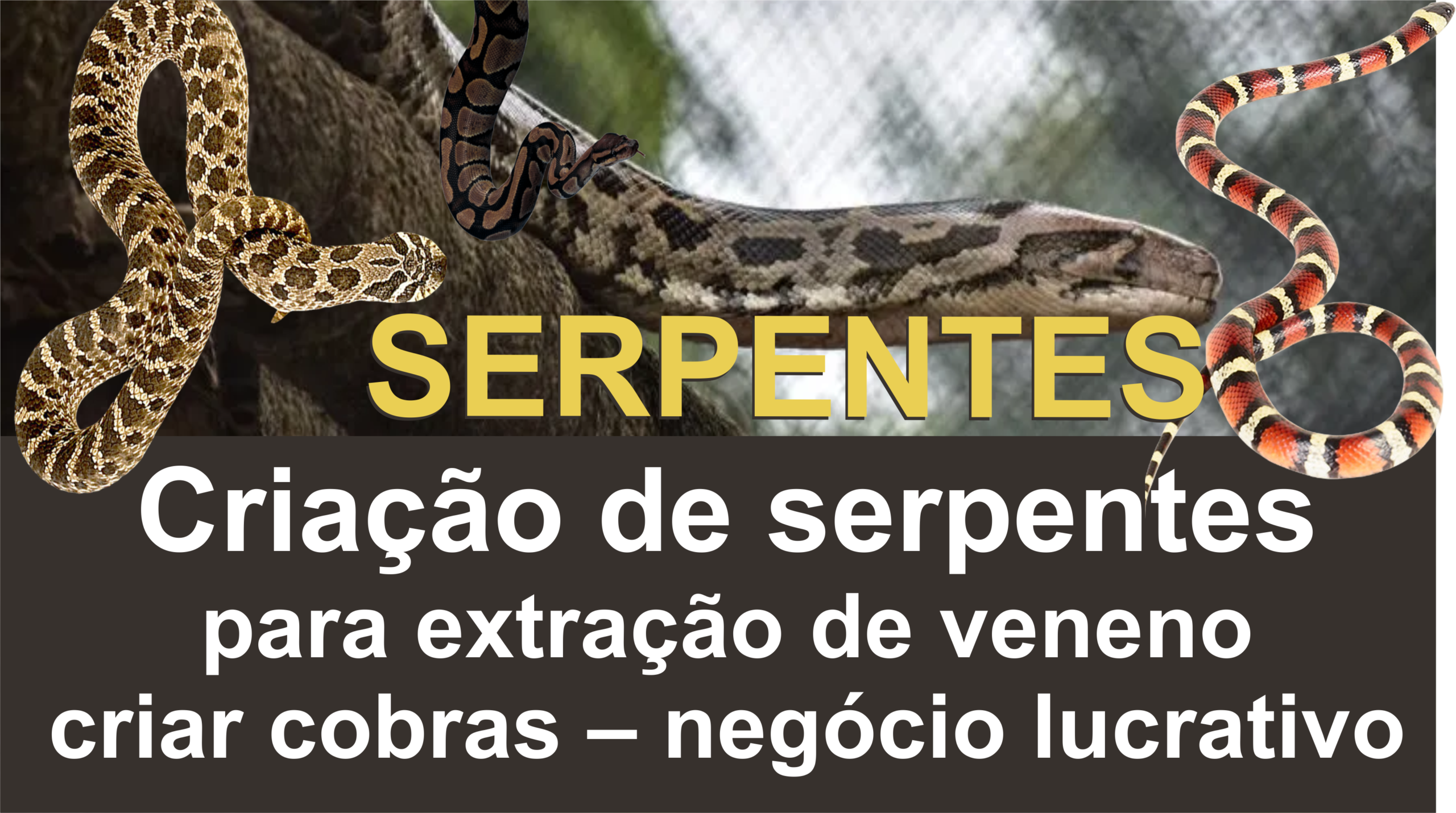 Serpentário: instalações e viabilidade de comercialização de serpentes