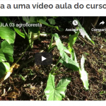 Assistir Video Aula Grátis Curso de Agrofloresta Online EAD a distancia