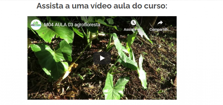 Assistir Video Aula Grátis Curso de Agrofloresta Online EAD a distancia