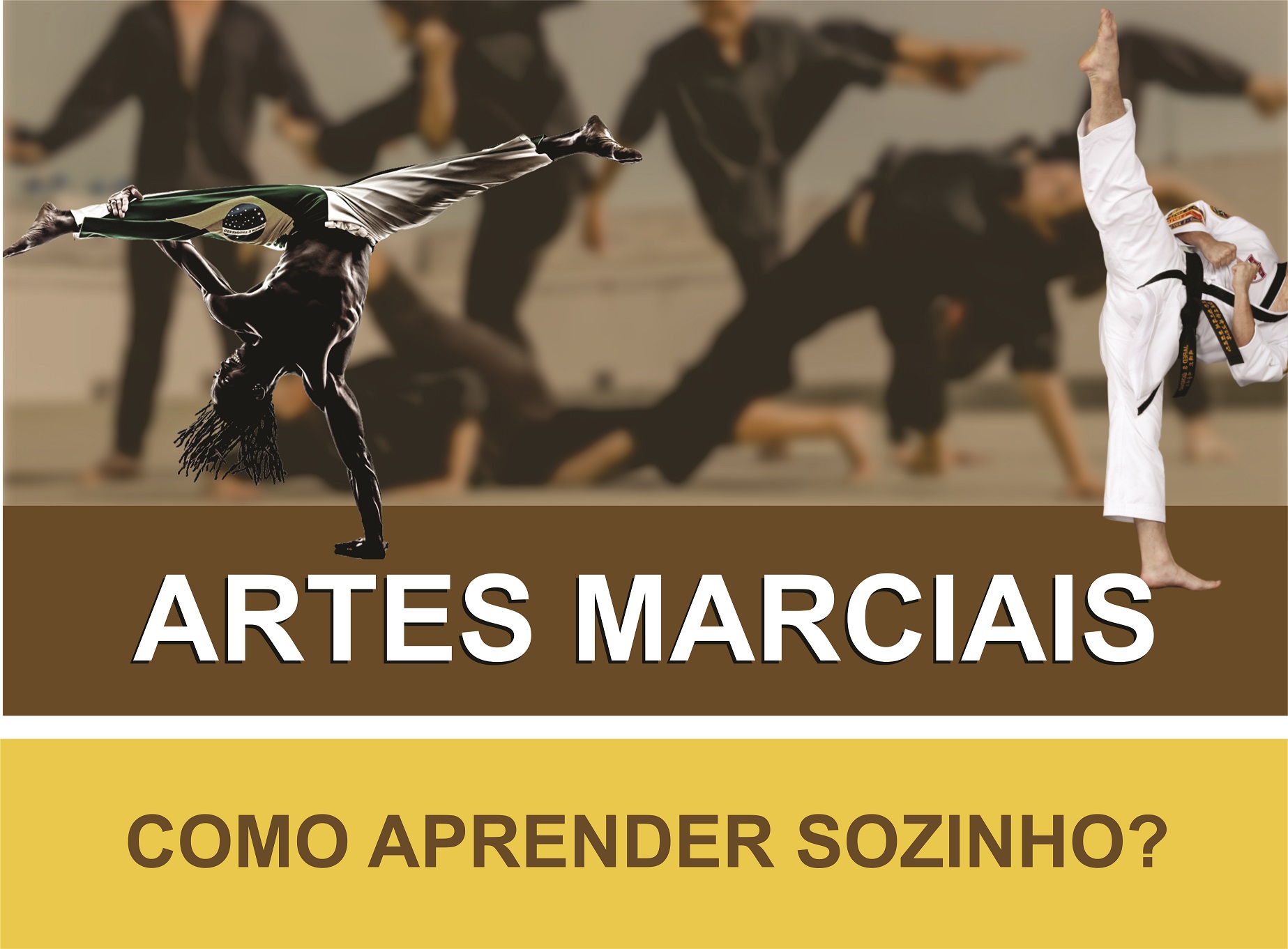 Como APRENDER artes marciais SOZINHO. - Laguia Brasil
