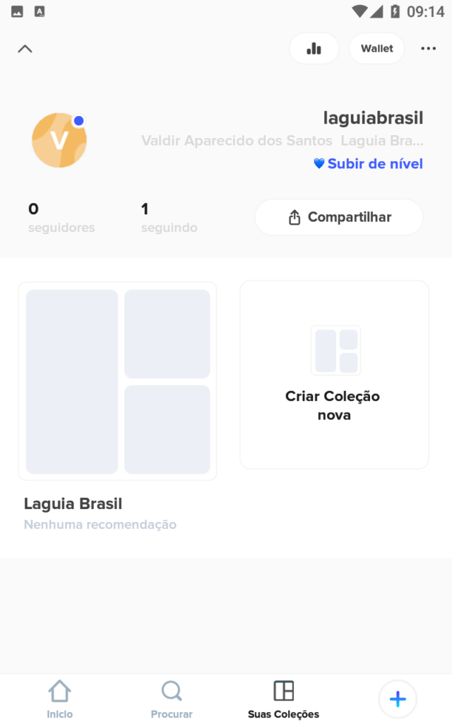 Clique em Suas Coleções para ver as suas publicações na Peoople.