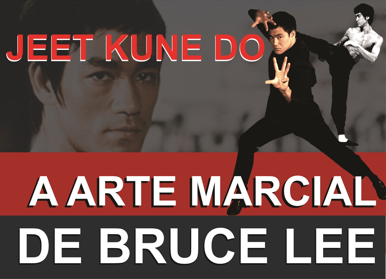 JEET KUNE DO - COMO APRENDER A ARTE MARCIAL DE BRUCE LEE