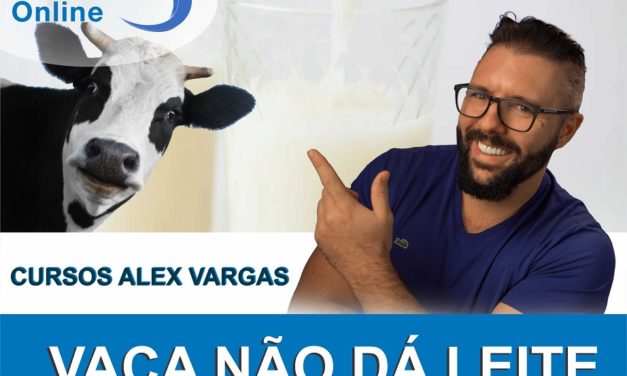 VANTAGENS E DESVANTAGENS - COMPRAR CURSO ALEX VARGAS