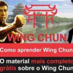 Wing Chun Kung Fu - como aprender sozinho online curso