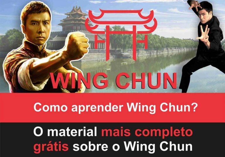 Wing Chun Kung Fu - como aprender sozinho online curso