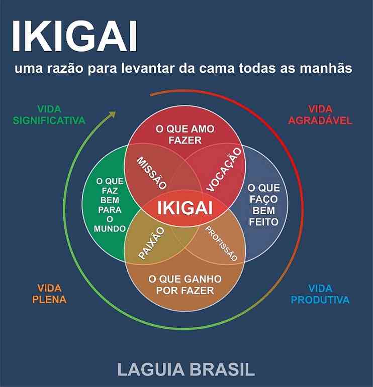 Gráfico de explicação do conceito de Ikigai a razão para levantar da cama todas as manhãs