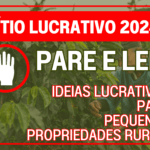 SITIO LUCRATIVO 2024 IDEIAS LUCRATIVAS PARA PEQUENA PROPRIEDADE RURAIS