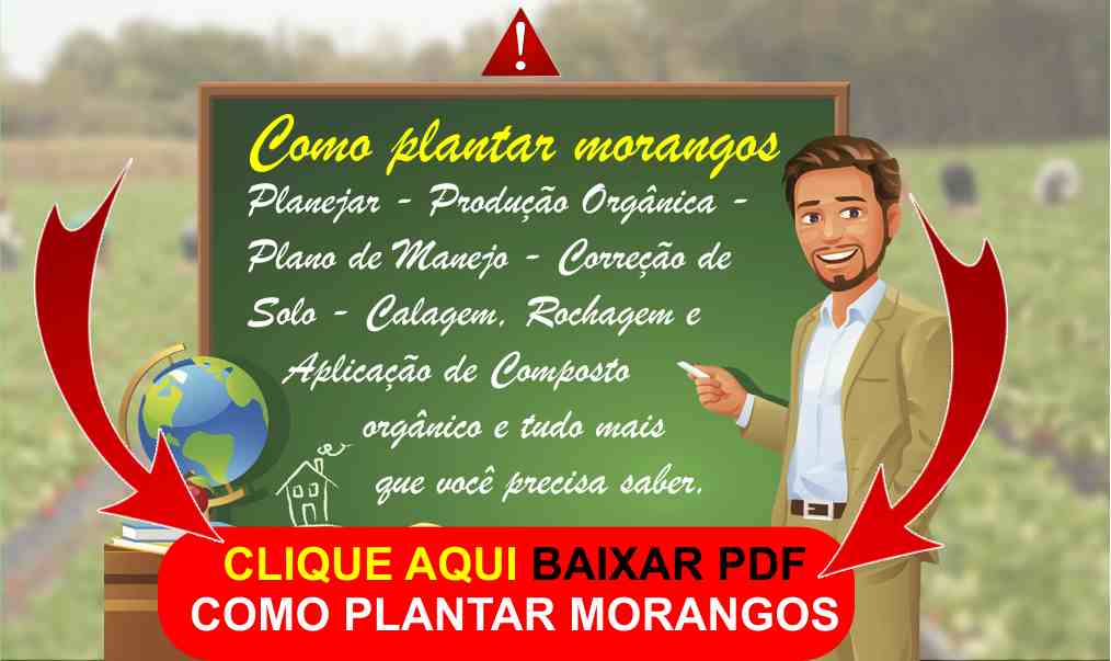 Como plantar morango - BAIXAR PDF tudo sobre o morango e sua produção