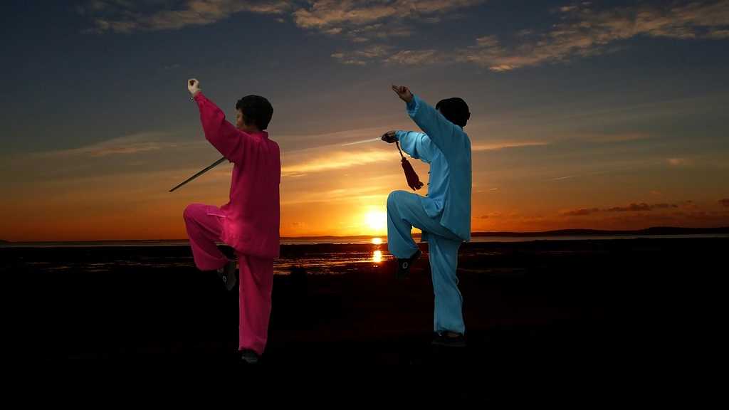 os 5 mais populares estilos de tai chi chuan - famílias do tai chi chuan - a pratica