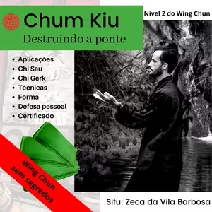 Curso completo de Wing Chun nível 2 Chum Kiu destruindo a ponte