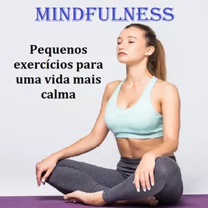 Mindfulness Pequenos exercícios para uma vida mais calma